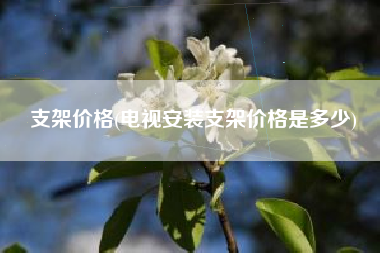 支架价格(电视安装支架价格是多少)