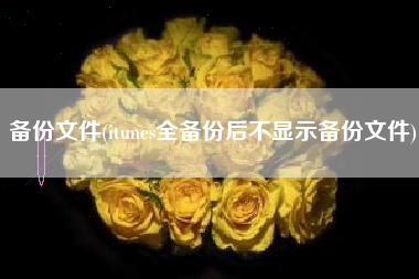 备份文件(itunes全备份后不显示备份文件)