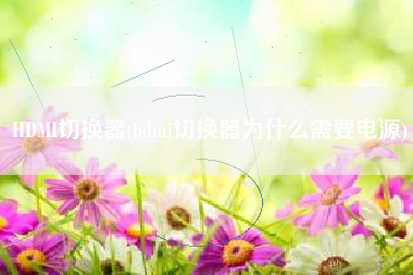 HDMI切换器(hdmi切换器为什么需要电源)