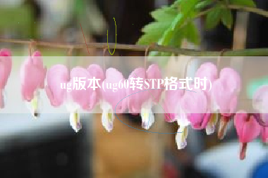 ug版本(ug60转STP格式时)