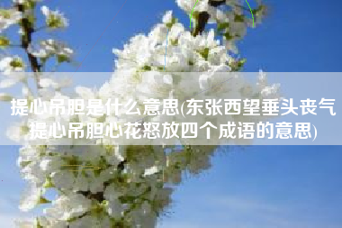 提心吊胆是什么意思(东张西望垂头丧气提心吊胆心花怒放四个成语的意思)