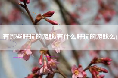 有哪些好玩的游戏(有什么好玩的游戏么)