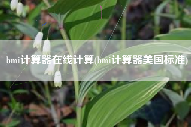bmi计算器在线计算(bmi计算器美国标准)