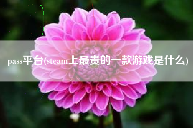 pass平台(steam上最贵的一款游戏是什么)