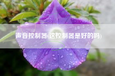 声音控制器(这控制器是好的吗)