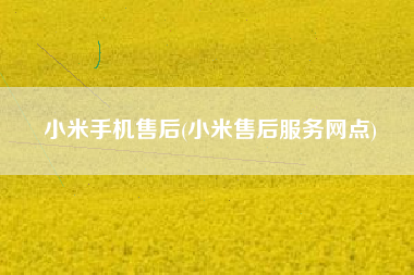 小米手机售后(小米售后服务网点)