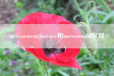 increasement(increase和increasement区别)