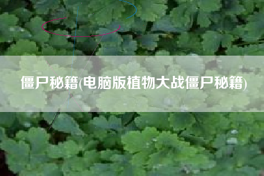 僵尸秘籍(电脑版植物大战僵尸秘籍)