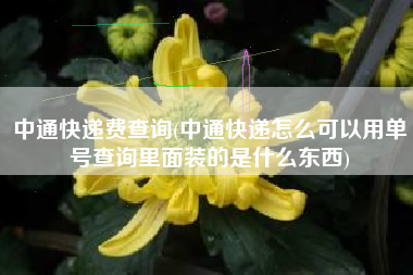 中通快递费查询(中通快递怎么可以用单号查询里面装的是什么东西)