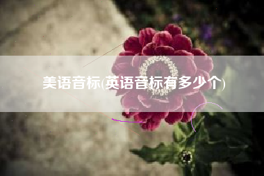 美语音标(英语音标有多少个)
