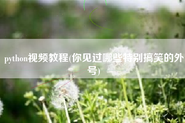 python视频教程(你见过哪些特别搞笑的外号)