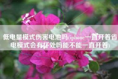低电量模式伤害电池吗(iphone一直开着省电模式会有坏处吗能不能一直开着)