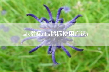 adx指标(dm指标使用方法)