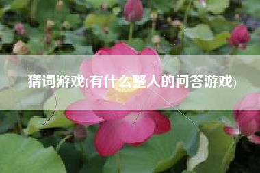 猜词游戏(有什么整人的问答游戏)