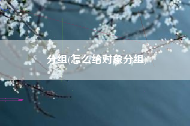 分组(怎么给对象分组)