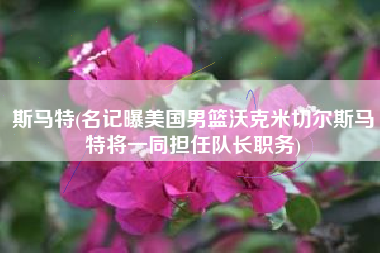 斯马特(名记曝美国男篮沃克米切尔斯马特将一同担任队长职务)