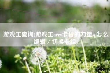 游戏王查询(游戏王arcv卡片的力量sp怎么编辑／切换卡组)