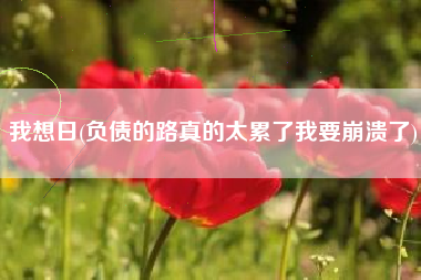 我想日(负债的路真的太累了我要崩溃了)