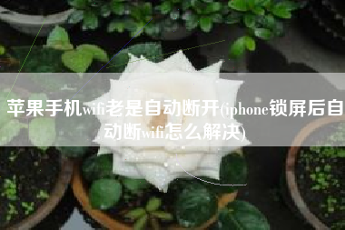 苹果手机wifi老是自动断开(iphone锁屏后自动断wifi怎么解决)