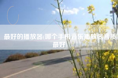 最好的播放器(哪个手机音乐播放器音质最好)