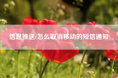 信息推送(怎么取消移动的短信通知)