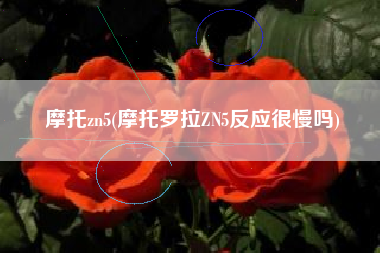 摩托zn5(摩托罗拉ZN5反应很慢吗)
