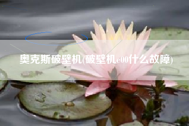 奥克斯破壁机(破壁机e00什么故障)