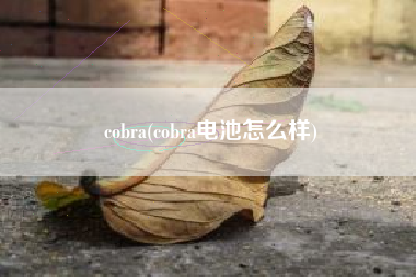 cobra(cobra电池怎么样)