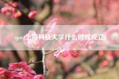 spst(上海科技大学什么时候成立)