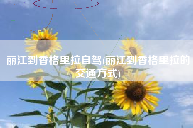 丽江到香格里拉自驾(丽江到香格里拉的交通方式)