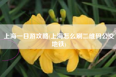 上海一日游攻略(上海怎么刷二维码公交地铁)