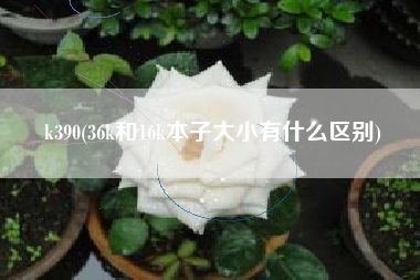 k390(36k和16k本子大小有什么区别)