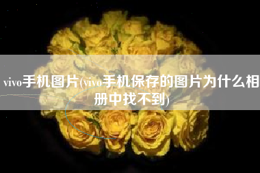 vivo手机图片(vivo手机保存的图片为什么相册中找不到)