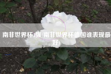 南非世界杯4强(南非世界杯德国谁表现最好)