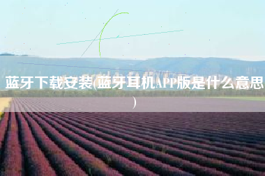 蓝牙下载安装(蓝牙耳机APP版是什么意思)