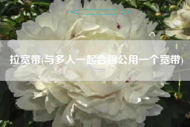 拉宽带(与多人一起合租公用一个宽带)