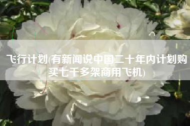 飞行计划(有新闻说中国二十年内计划购买七千多架商用飞机)