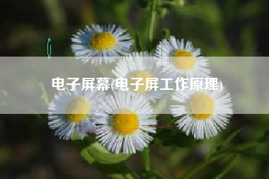 电子屏幕(电子屏工作原理)