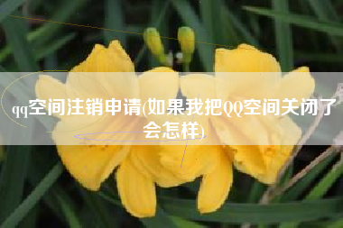 qq空间注销申请(如果我把QQ空间关闭了会怎样)