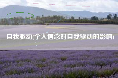 自我驱动(个人信念对自我驱动的影响)