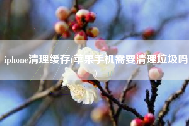 iphone清理缓存(苹果手机需要清理垃圾吗)