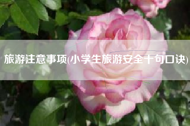 旅游注意事项(小学生旅游安全十句口诀)