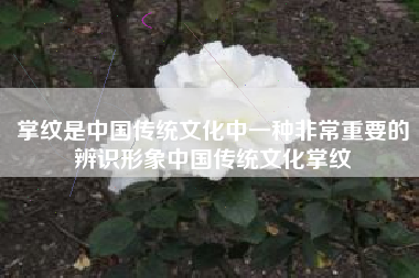 掌纹是中国传统文化中一种非常重要的辨识形象中国传统文化掌纹