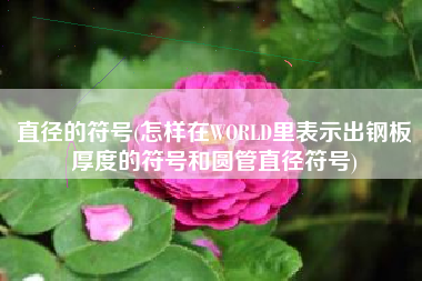 直径的符号(怎样在WORLD里表示出钢板厚度的符号和圆管直径符号)