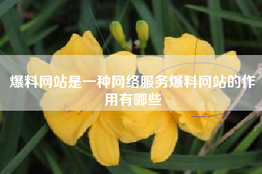 爆料网站是一种网络服务爆料网站的作用有哪些