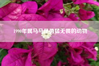 1990年属马马是勇猛无畏的动物