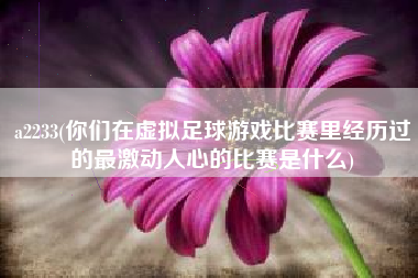 a2233(你们在虚拟足球游戏比赛里经历过的最激动人心的比赛是什么)