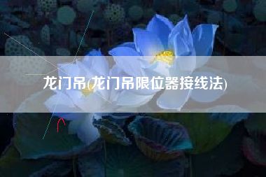 龙门吊(龙门吊限位器接线法)