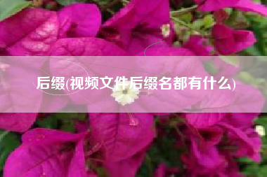 后缀(视频文件后缀名都有什么)