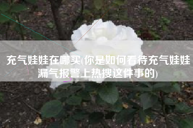 充气娃娃在哪买(你是如何看待充气娃娃漏气报警上热搜这件事的)